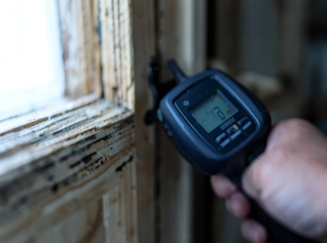 Moisture Inspection And Documentation in Newton Highlands, MA